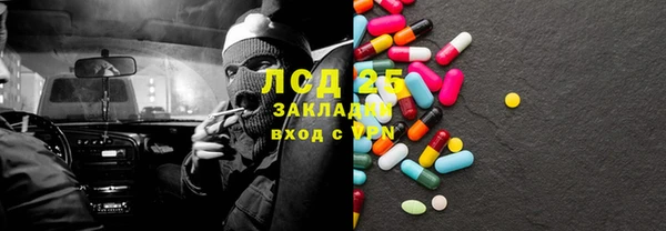 крисы Новодвинск