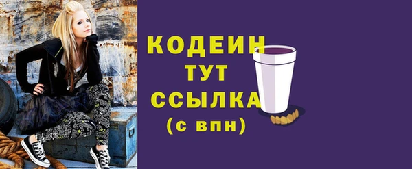 индика Нягань