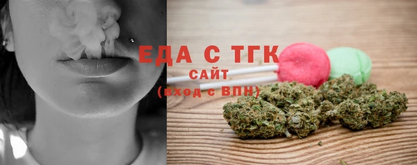 индика Нягань