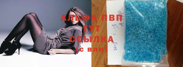 индика Нягань