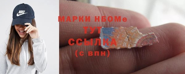 индика Нягань