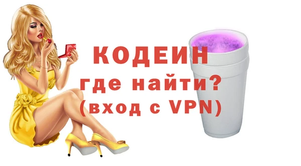 индика Нягань