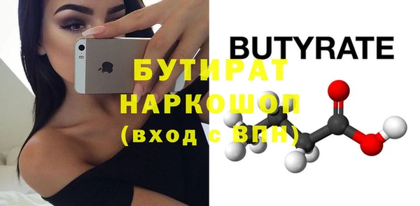 индика Нягань