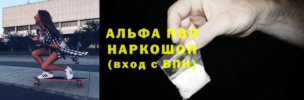 индика Нягань